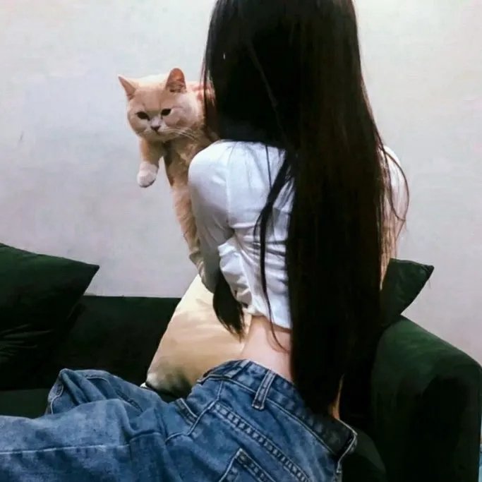 威尔和格蕾丝第六季